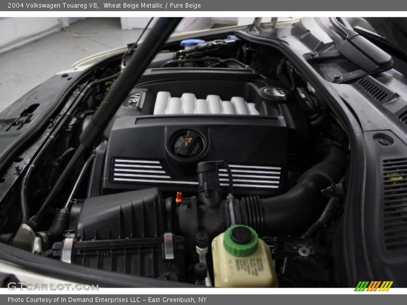 Wheat Beige Metallic / Pure Beige 2004 Volkswagen Touareg V8