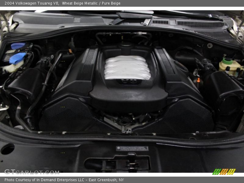 Wheat Beige Metallic / Pure Beige 2004 Volkswagen Touareg V8