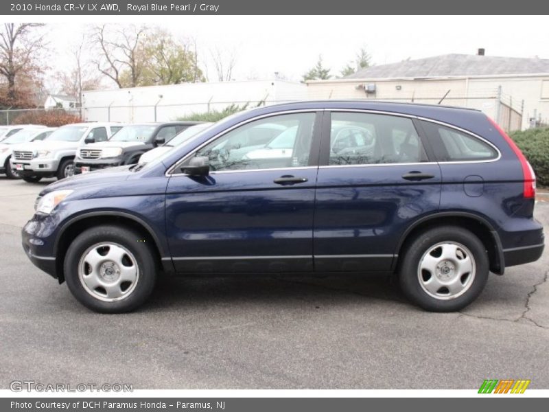 Royal Blue Pearl / Gray 2010 Honda CR-V LX AWD