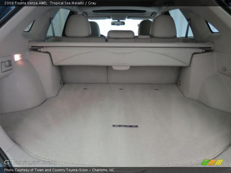 Tropical Sea Metallic / Gray 2009 Toyota Venza AWD