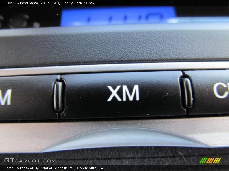 Ebony Black / Gray 2009 Hyundai Santa Fe GLS 4WD