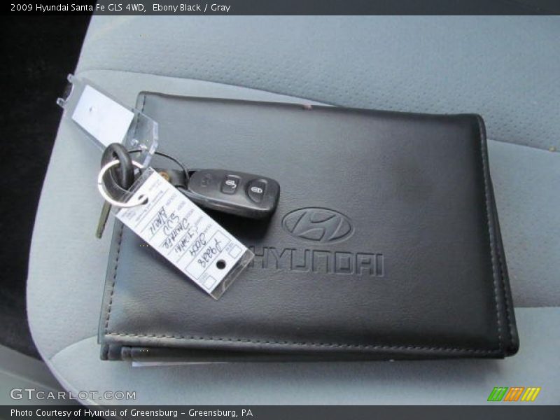 Ebony Black / Gray 2009 Hyundai Santa Fe GLS 4WD