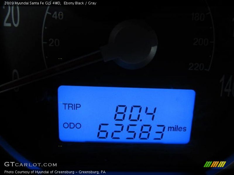 Ebony Black / Gray 2009 Hyundai Santa Fe GLS 4WD