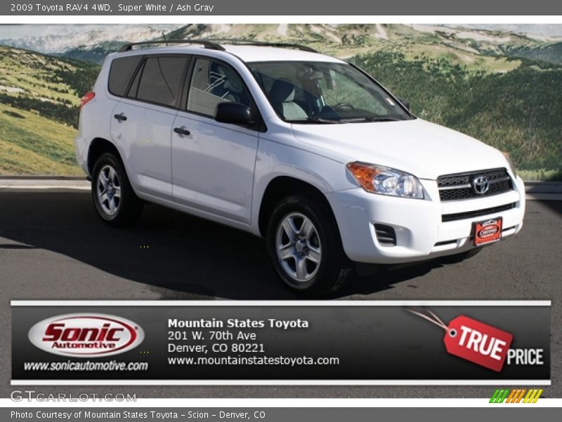 Super White / Ash Gray 2009 Toyota RAV4 4WD
