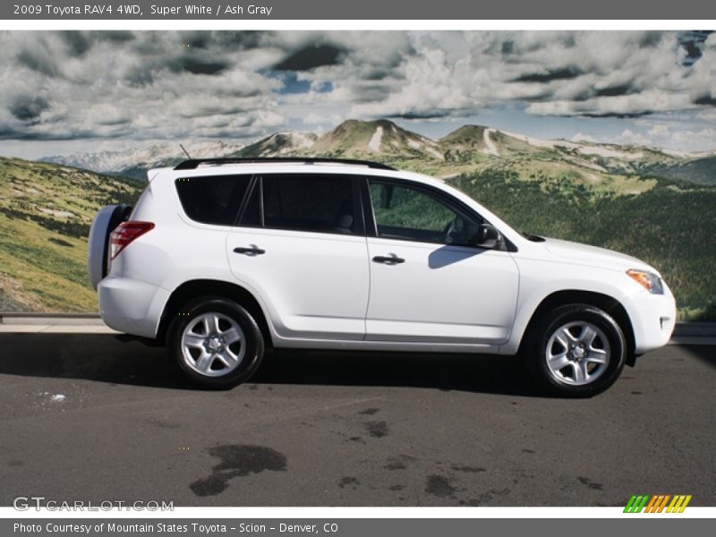 Super White / Ash Gray 2009 Toyota RAV4 4WD