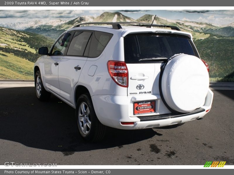 Super White / Ash Gray 2009 Toyota RAV4 4WD