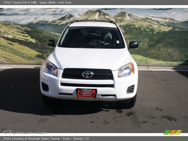 Super White / Ash Gray 2009 Toyota RAV4 4WD