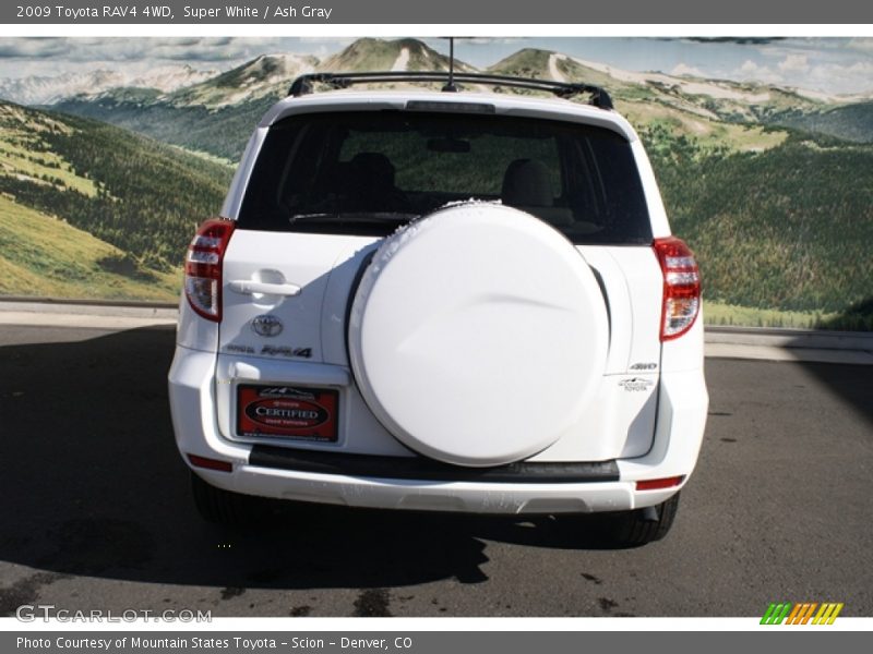 Super White / Ash Gray 2009 Toyota RAV4 4WD