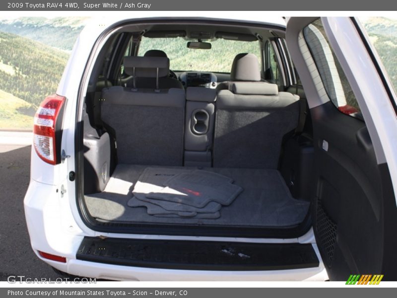Super White / Ash Gray 2009 Toyota RAV4 4WD