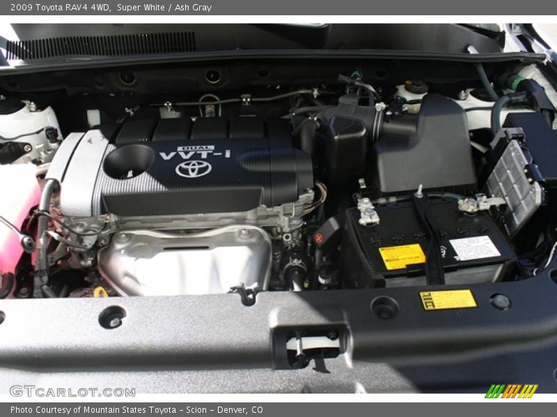 Super White / Ash Gray 2009 Toyota RAV4 4WD