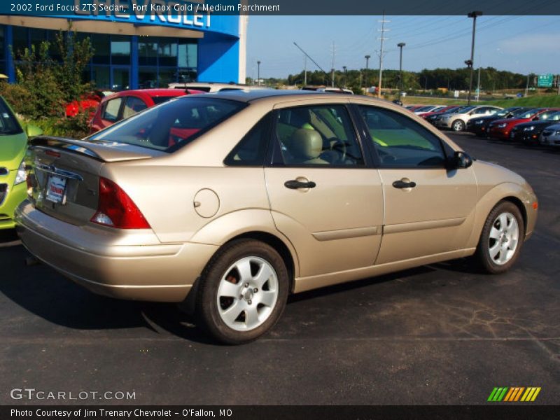 Fort Knox Gold / Medium Parchment 2002 Ford Focus ZTS Sedan