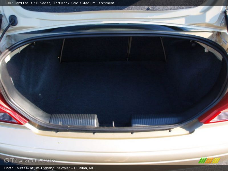Fort Knox Gold / Medium Parchment 2002 Ford Focus ZTS Sedan