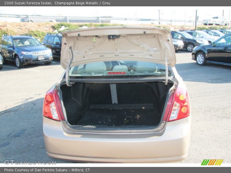 Champagne Beige Metallic / Grey 2006 Suzuki Forenza Sedan