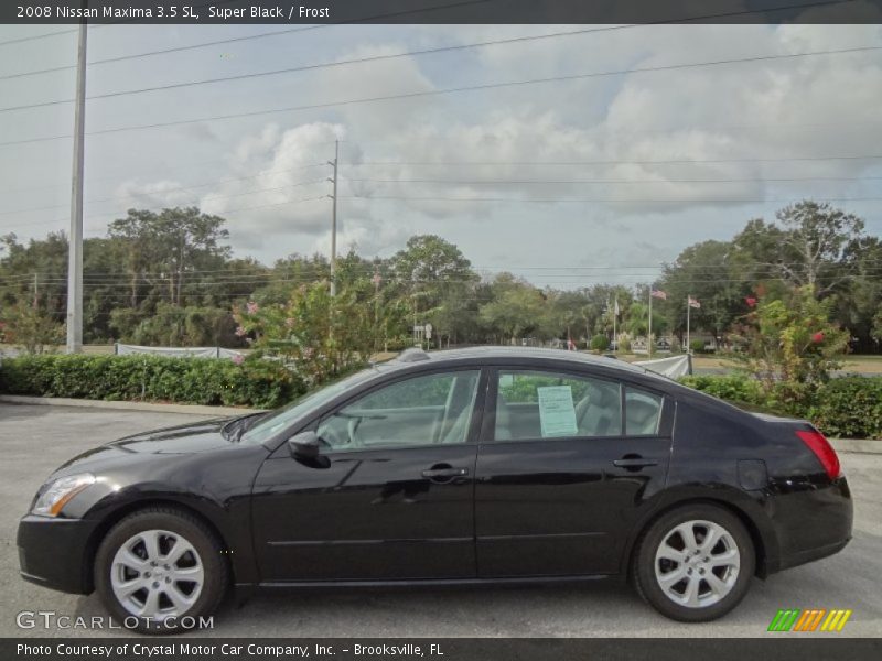 Super Black / Frost 2008 Nissan Maxima 3.5 SL