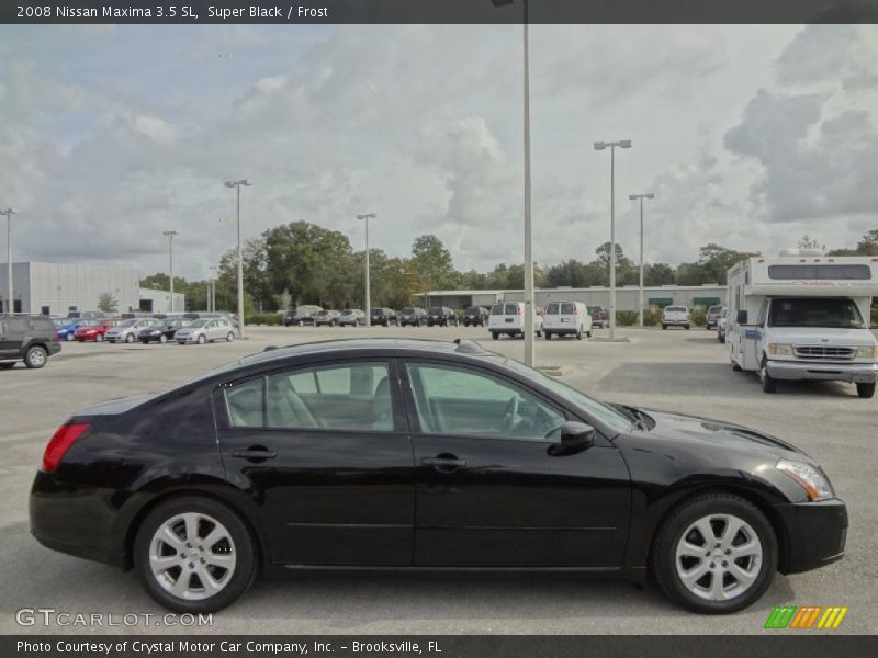Super Black / Frost 2008 Nissan Maxima 3.5 SL
