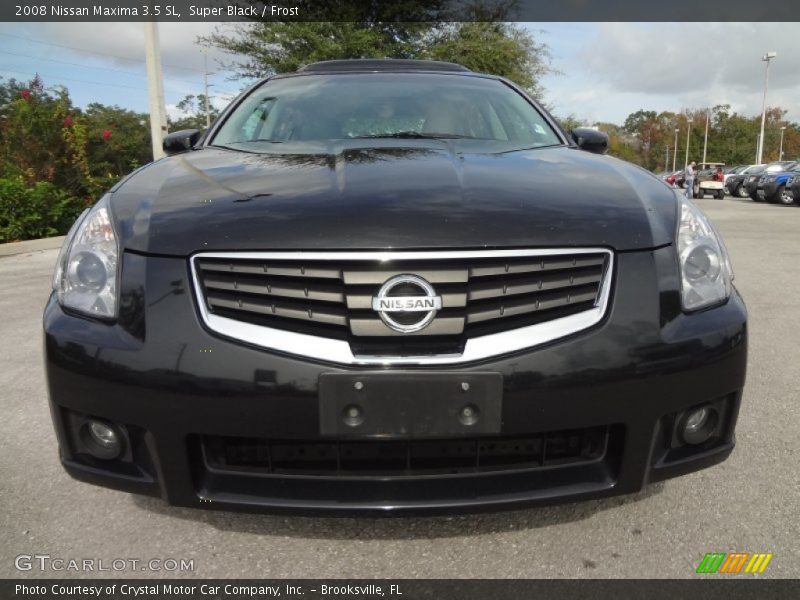 Super Black / Frost 2008 Nissan Maxima 3.5 SL