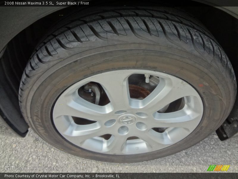 Super Black / Frost 2008 Nissan Maxima 3.5 SL