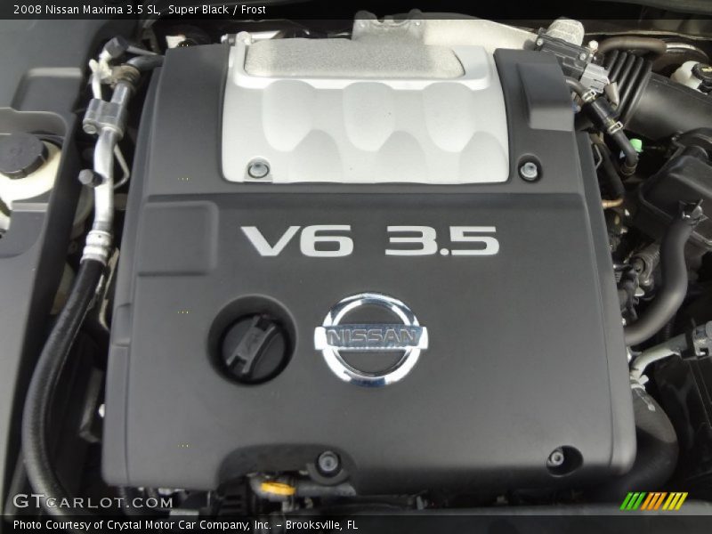 Super Black / Frost 2008 Nissan Maxima 3.5 SL