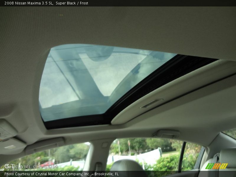 Super Black / Frost 2008 Nissan Maxima 3.5 SL