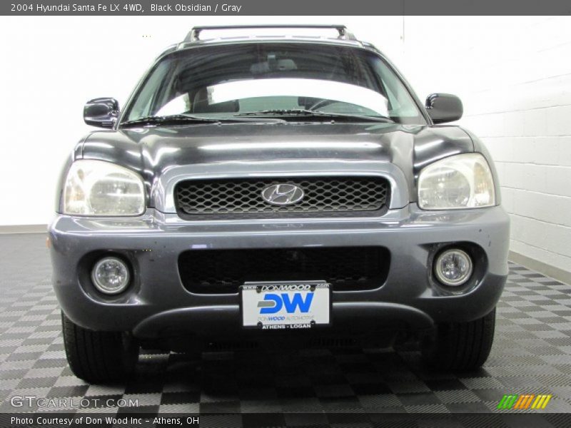 Black Obsidian / Gray 2004 Hyundai Santa Fe LX 4WD