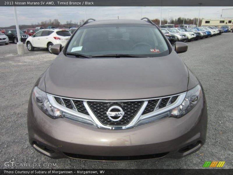 Tinted Bronze / Black 2013 Nissan Murano SV AWD