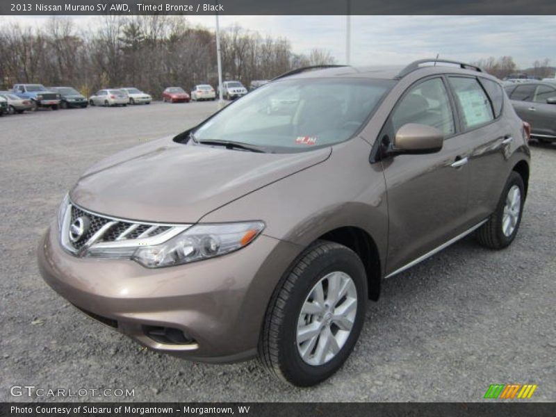 Tinted Bronze / Black 2013 Nissan Murano SV AWD