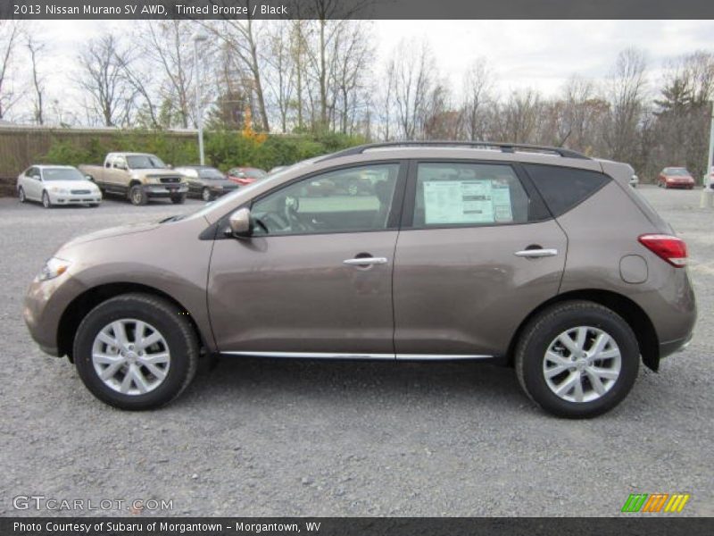 Tinted Bronze / Black 2013 Nissan Murano SV AWD