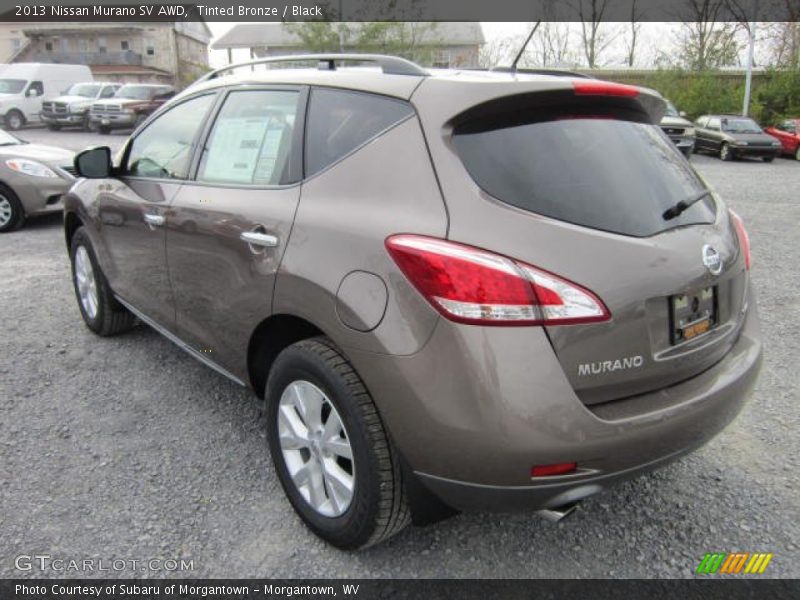 Tinted Bronze / Black 2013 Nissan Murano SV AWD
