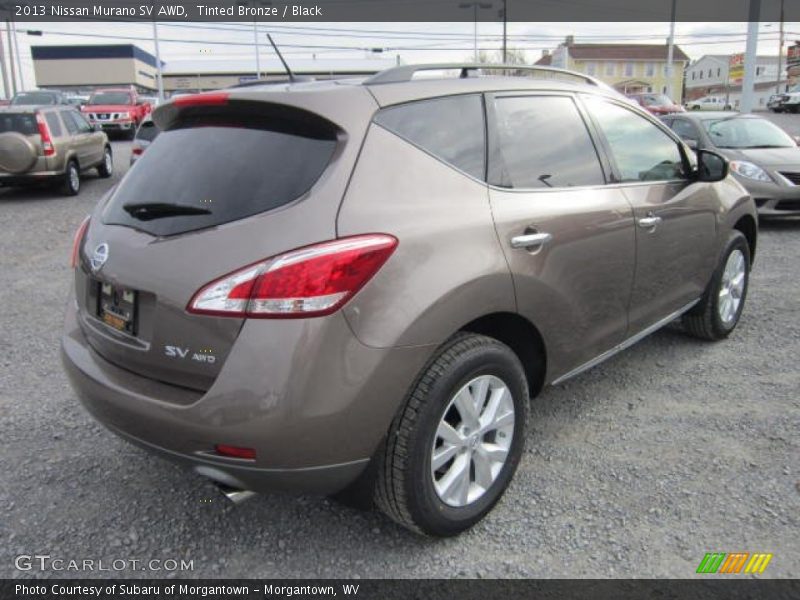 Tinted Bronze / Black 2013 Nissan Murano SV AWD