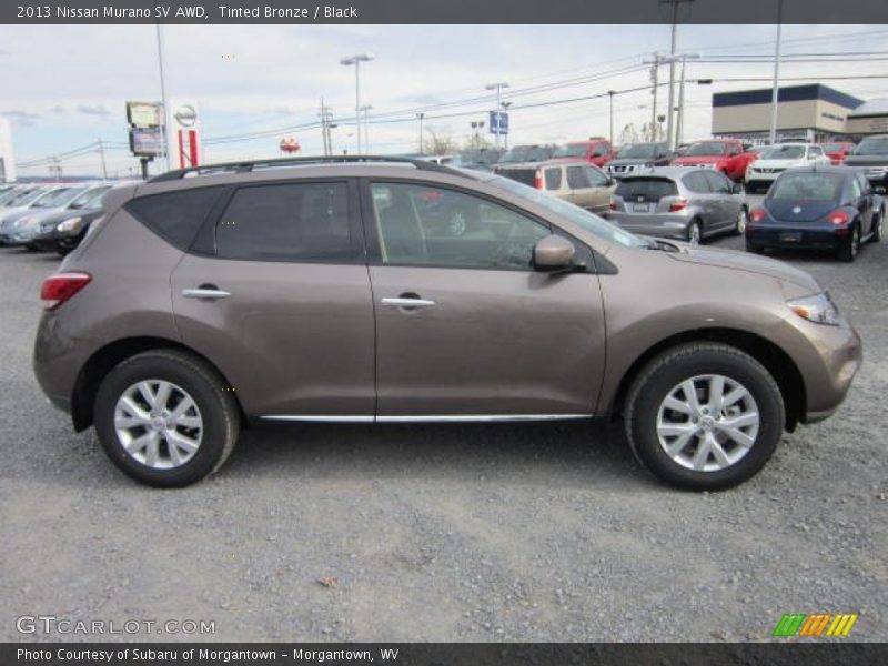 Tinted Bronze / Black 2013 Nissan Murano SV AWD
