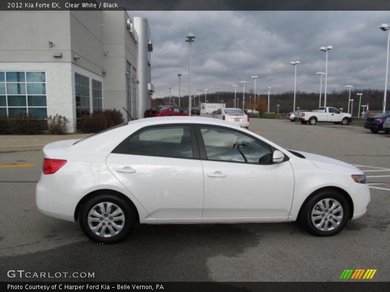 Clear White / Black 2012 Kia Forte EX