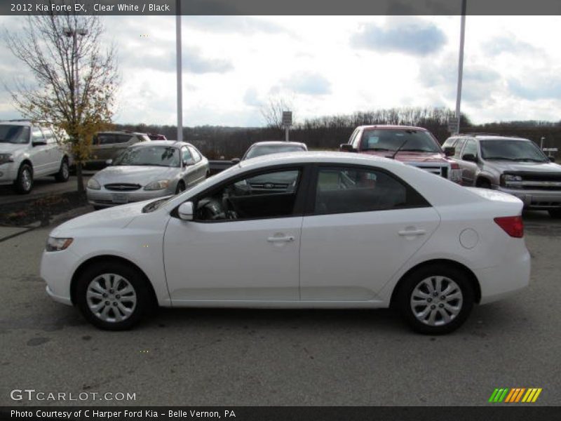 Clear White / Black 2012 Kia Forte EX