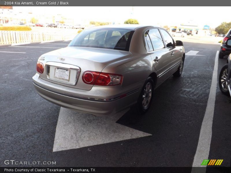 Cream Gold / Black 2004 Kia Amanti