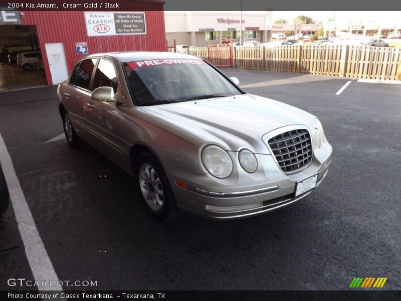 Cream Gold / Black 2004 Kia Amanti