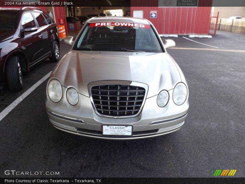 Cream Gold / Black 2004 Kia Amanti