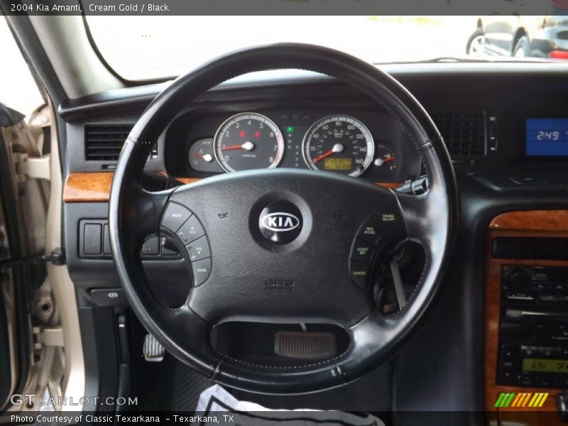 Cream Gold / Black 2004 Kia Amanti