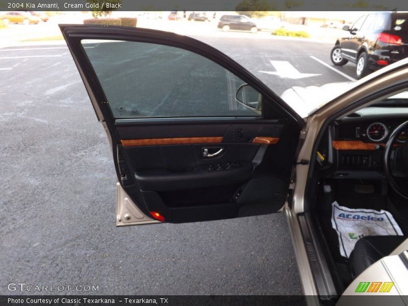 Cream Gold / Black 2004 Kia Amanti