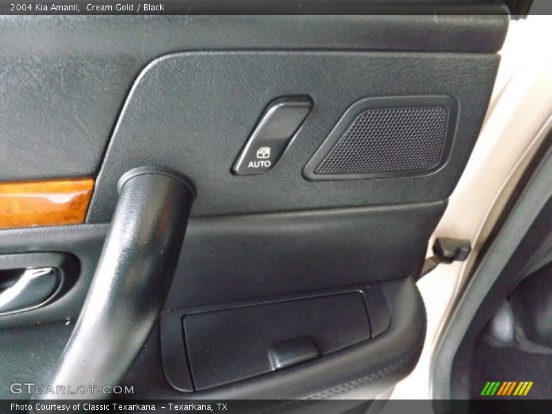Cream Gold / Black 2004 Kia Amanti