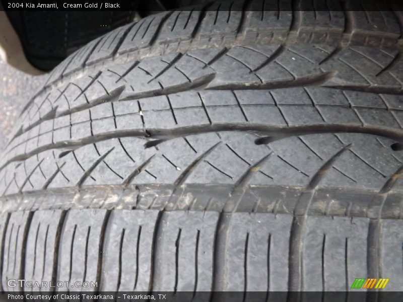 Cream Gold / Black 2004 Kia Amanti