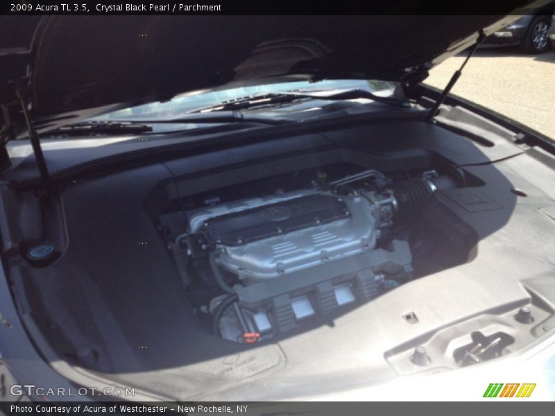 Crystal Black Pearl / Parchment 2009 Acura TL 3.5