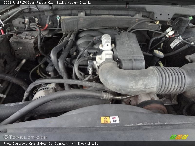 Black / Medium Graphite 2002 Ford F150 Sport Regular Cab