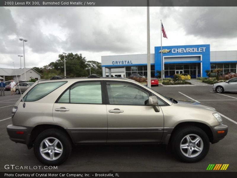 Burnished Gold Metallic / Ivory 2003 Lexus RX 300