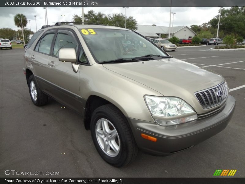 Burnished Gold Metallic / Ivory 2003 Lexus RX 300