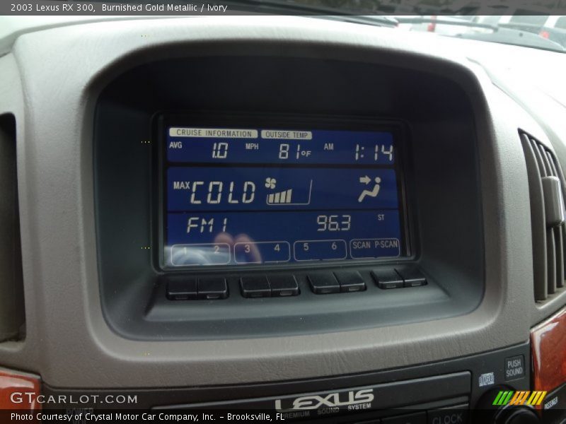 Burnished Gold Metallic / Ivory 2003 Lexus RX 300