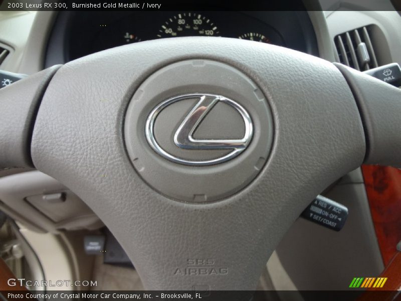 Burnished Gold Metallic / Ivory 2003 Lexus RX 300