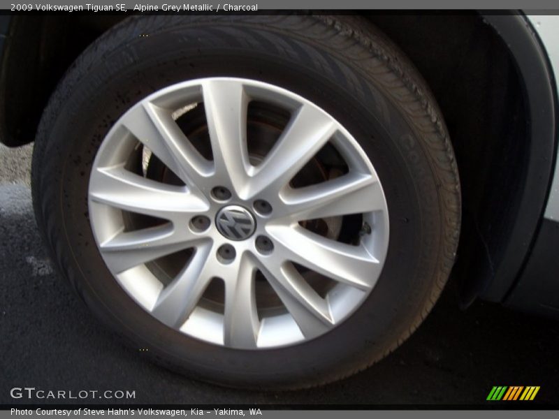 Alpine Grey Metallic / Charcoal 2009 Volkswagen Tiguan SE