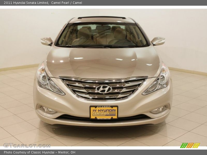 Camel Pearl / Camel 2011 Hyundai Sonata Limited