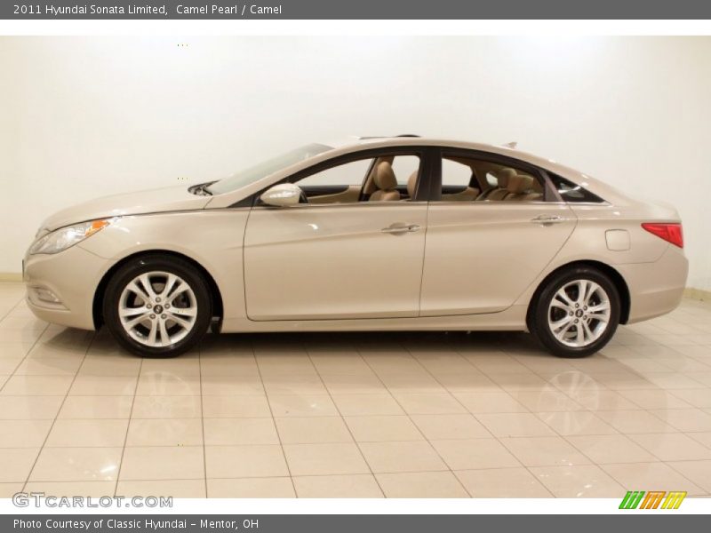 Camel Pearl / Camel 2011 Hyundai Sonata Limited