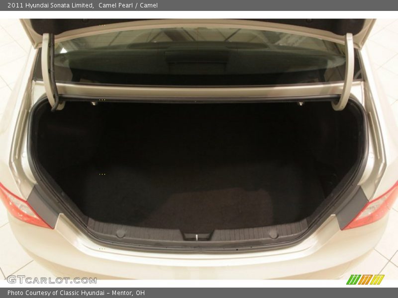 Camel Pearl / Camel 2011 Hyundai Sonata Limited