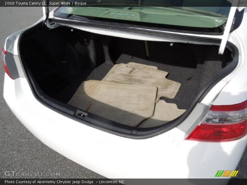 Super White / Bisque 2009 Toyota Camry LE
